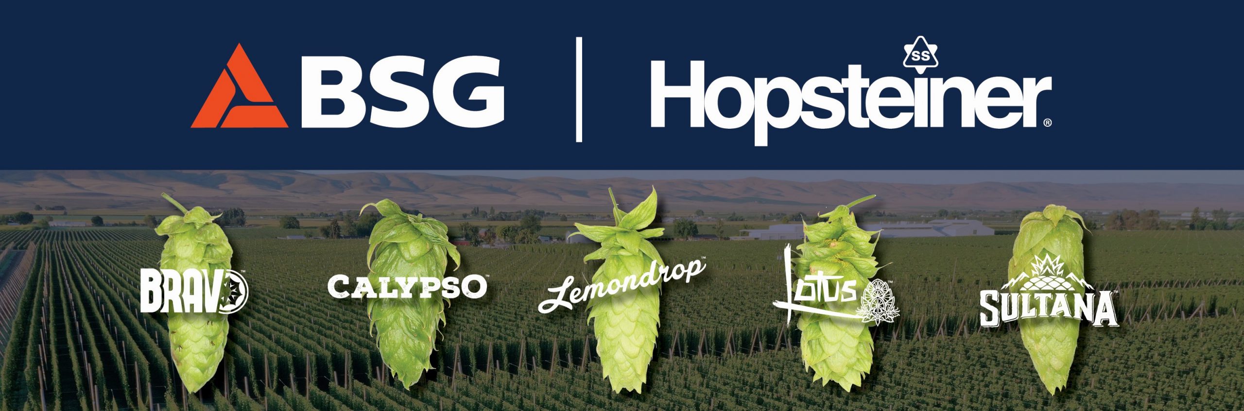 Hopsteiner Hop Varieties Now Available Through BSG